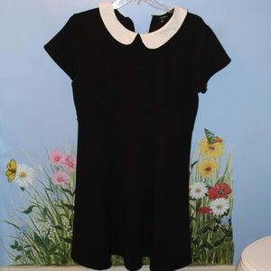 Torrid Black Dress w/h White Collar